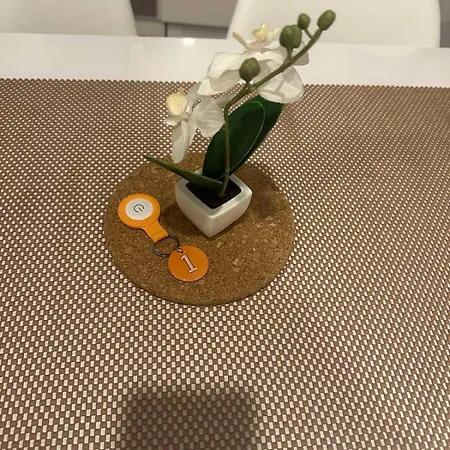 Center Σαράγεβο